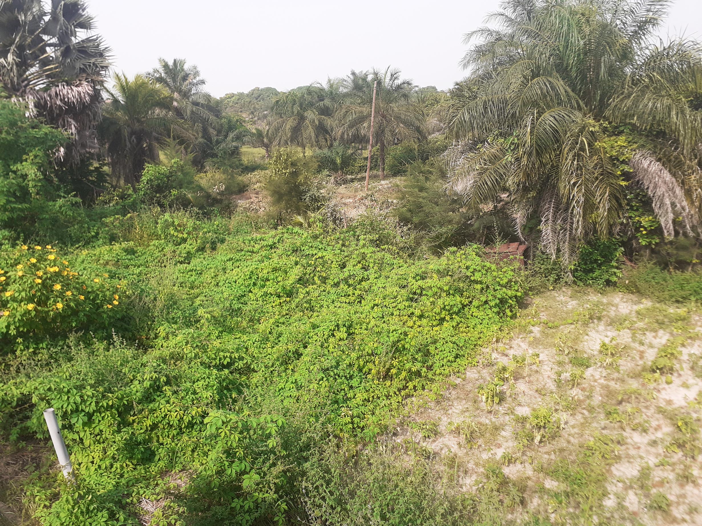 Terrain 650 m2