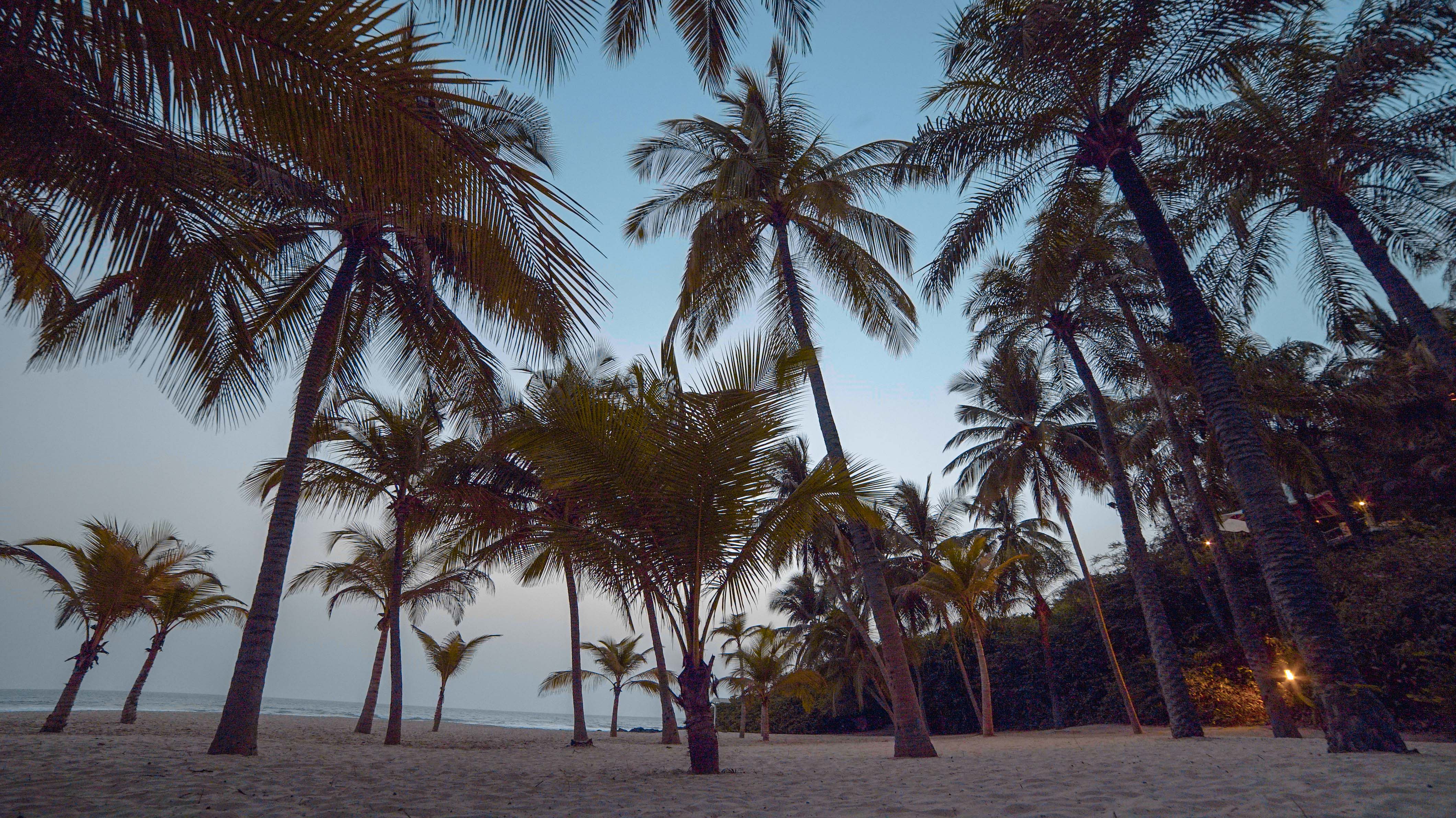 La plage de Cap Skirring